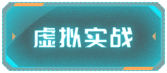 虚拟实战