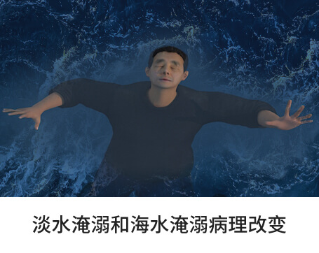 淡水淹溺和海水淹溺病理改变