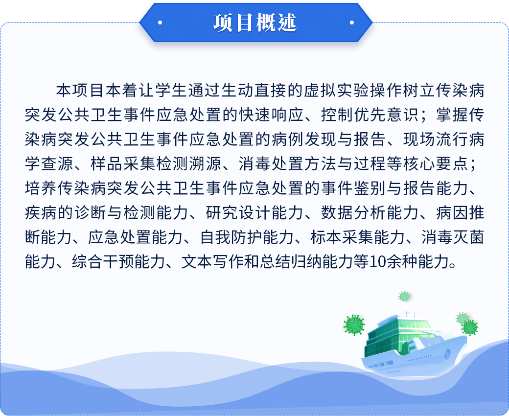 项目概述