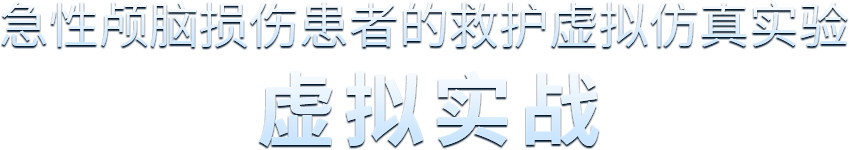 虚拟实战